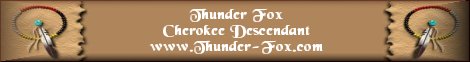 banner4-thunder-fox.jpg