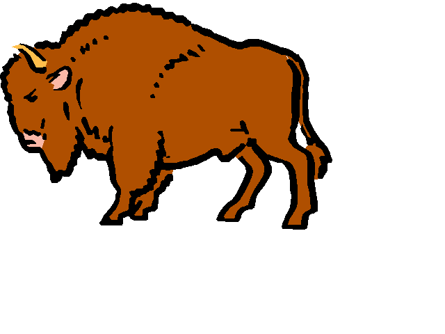 buffalo.gif